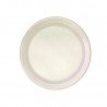 PLATO REYMA NO. 10 LISO C/25 PIEZAS