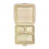 CONTENEDOR 9X9 DIV BIODEGRADABLE C/50 PIEZAS
